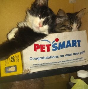 Meet your Posher, Ethan